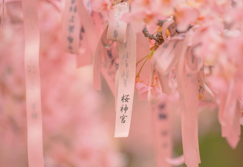 kelvin李の写真作品 184