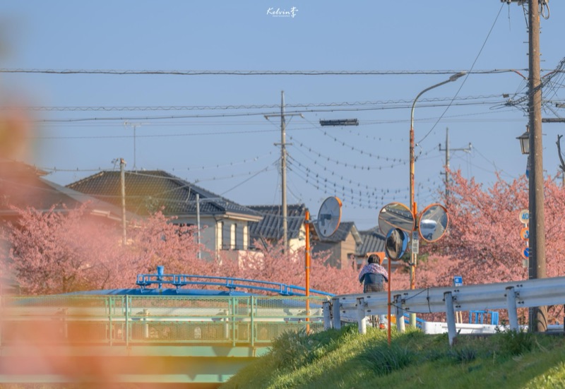 kelvin李の写真作品 185