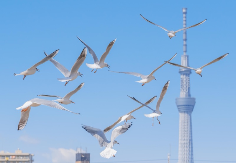kelvin李の写真作品 126