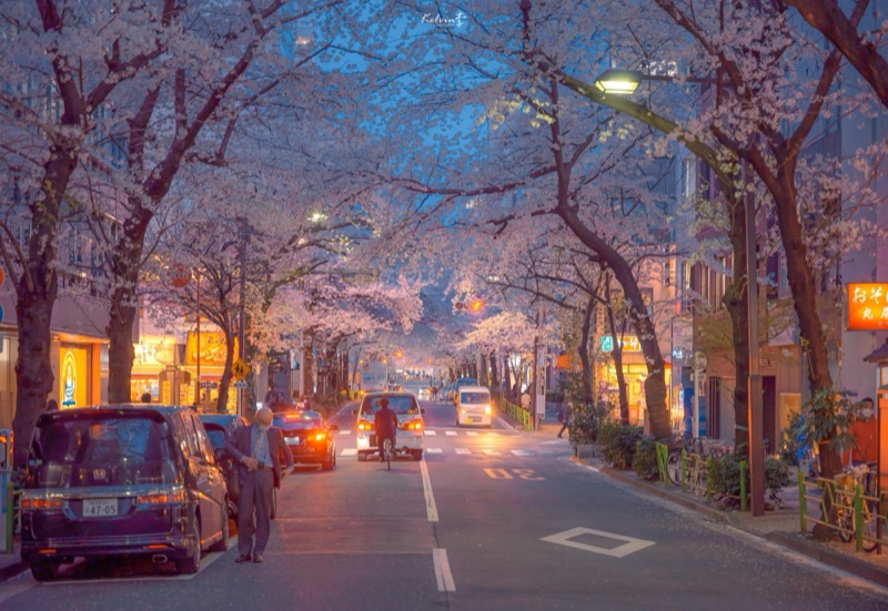 kelvin李の写真作品 094