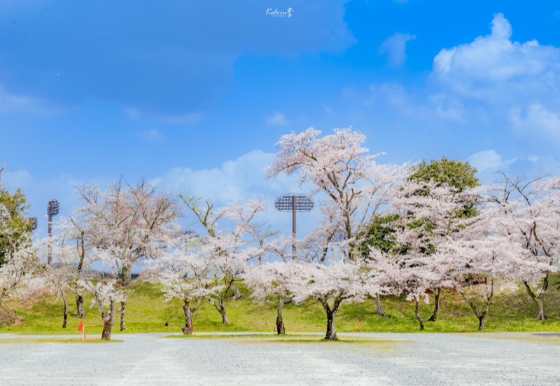 kelvin李の写真作品 097