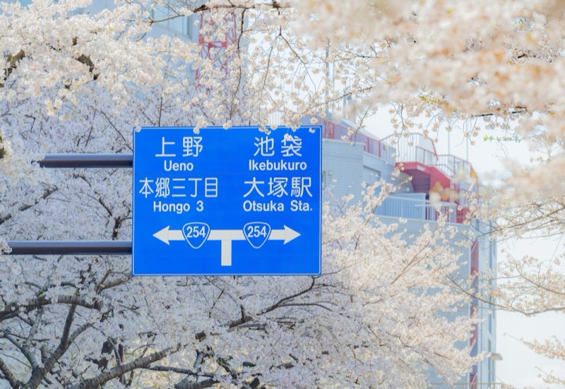 kelvin李の写真作品 101