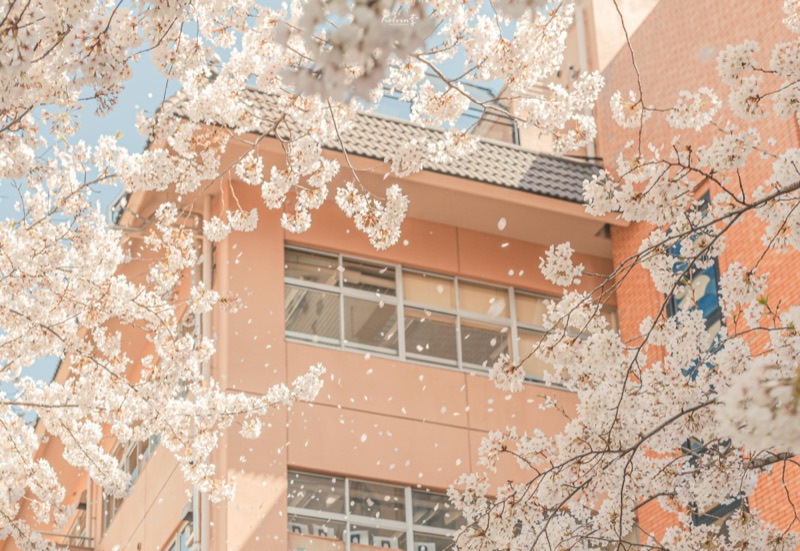 kelvin李の写真作品 031