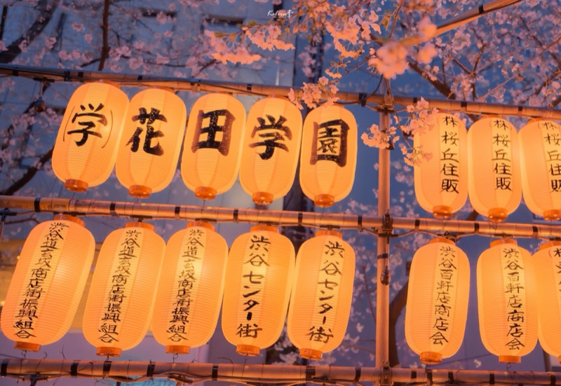 kelvin李の写真作品 034